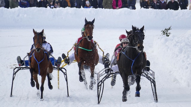 这其中包括 这其中包括
