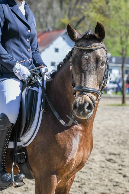 拉开比分差 拉开比分差