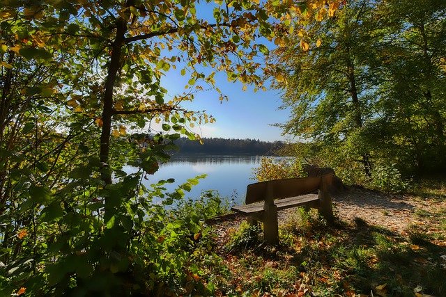 德媒：前技术总监内佩帮基米希探寻了国外选项 埃贝尔愿等他到4月.
