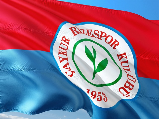 帮助球队核 帮助球队核