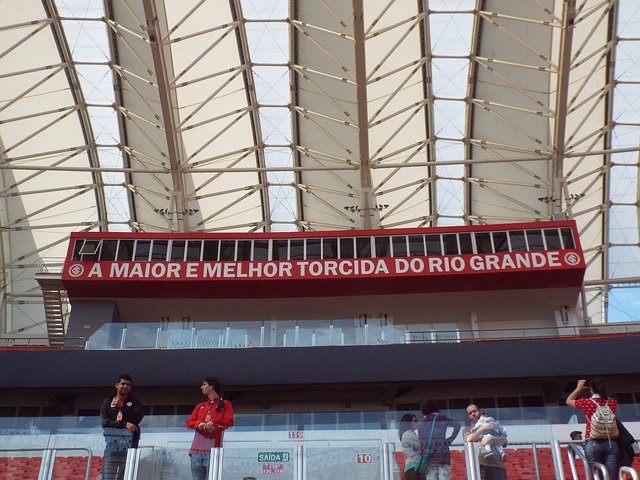 的明星球員 的明星球員