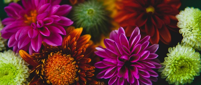 王楚钦3-0高承睿 晋级乒乓球亚洲杯男单八强.